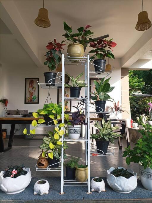 Almond Villa Find Your Paradise Alībāg Ngoại thất bức ảnh